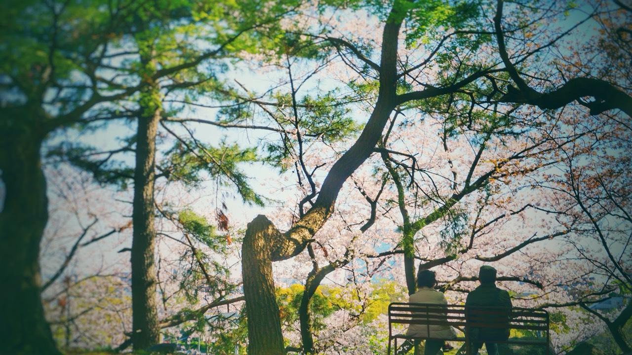 👓たーけ🧬ྀི091 🧬ྀ