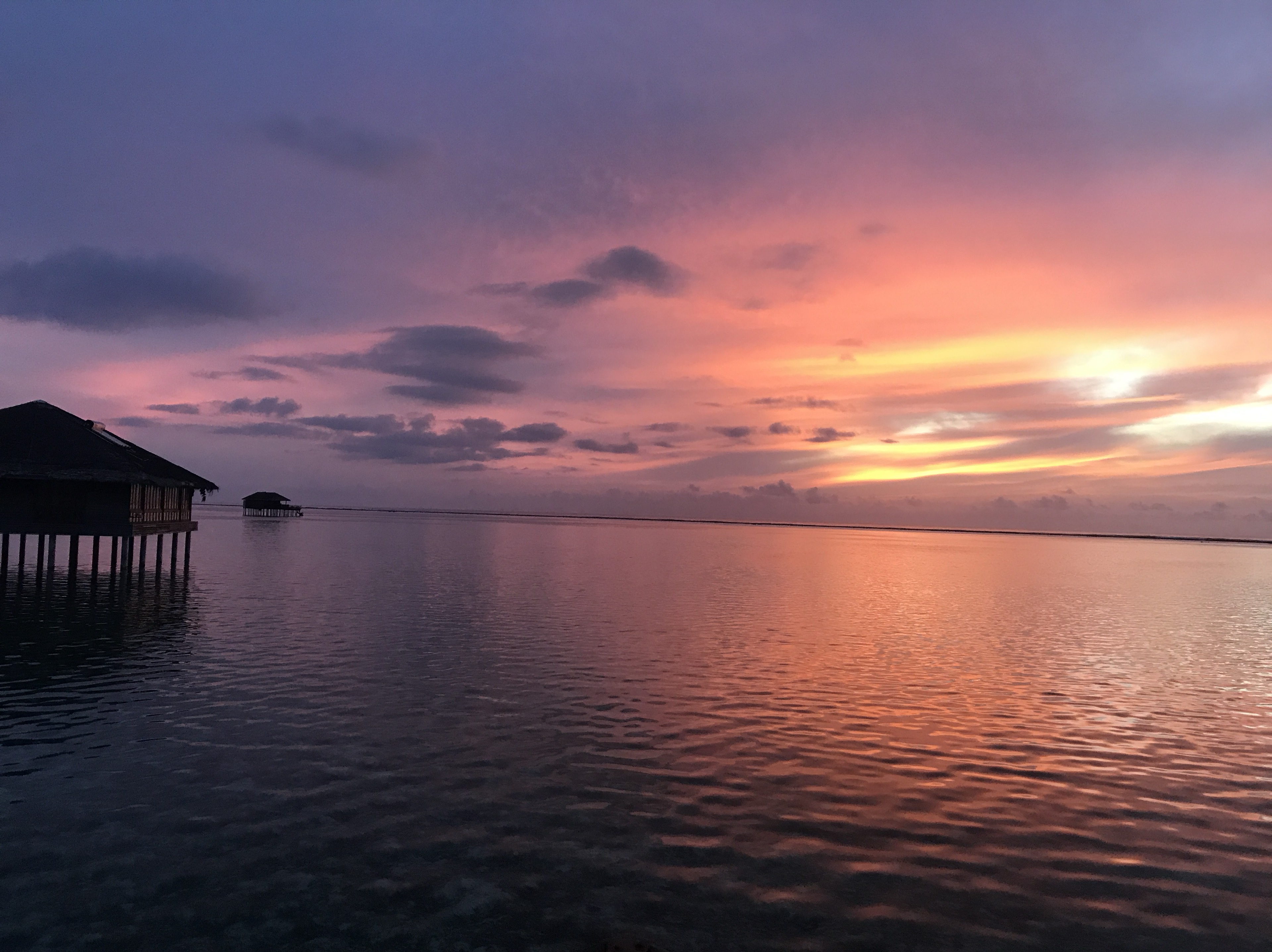 だれかだった私