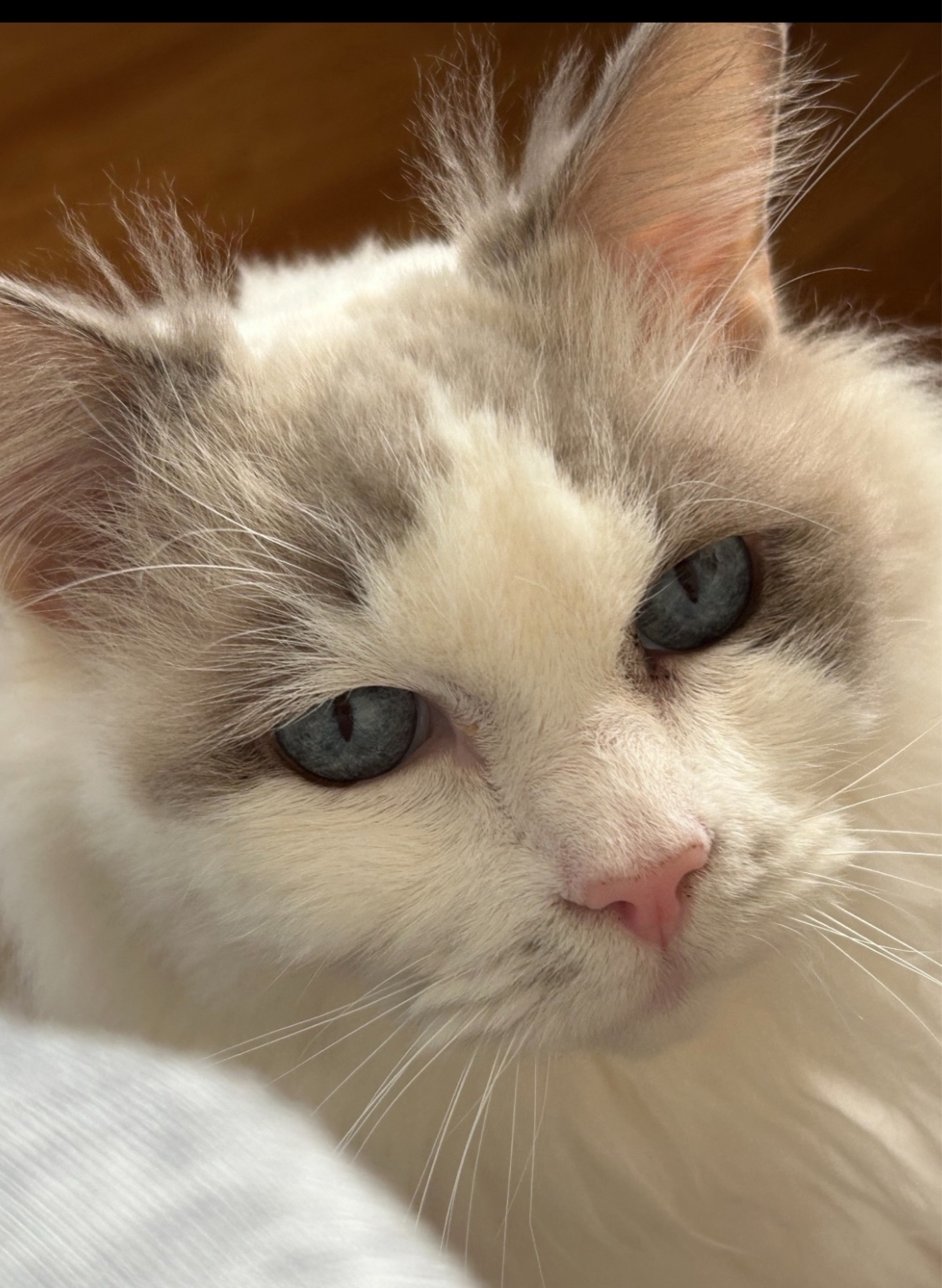 ð€âÍ*Íðð¥ððð€å
茩