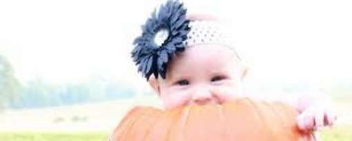 🎃潜伏かぼちゃん🎃