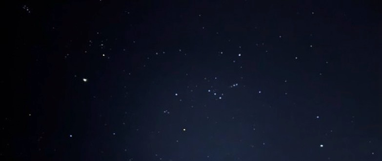 ☘︎︎️️꙳⋆みり⋆꙳𝜗𝜚