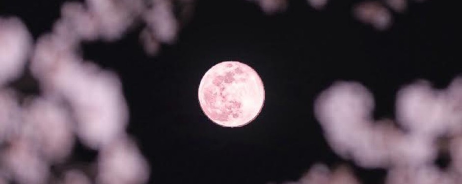 🌙*·̩͙ノエル𝖲ⁱꕤη゛