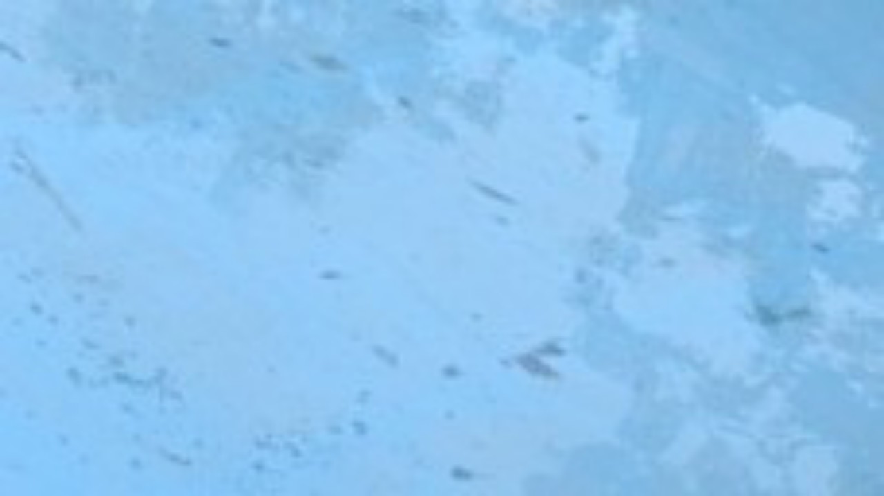 🎵笛吹き小春🎶心に🪔燈を送りたい