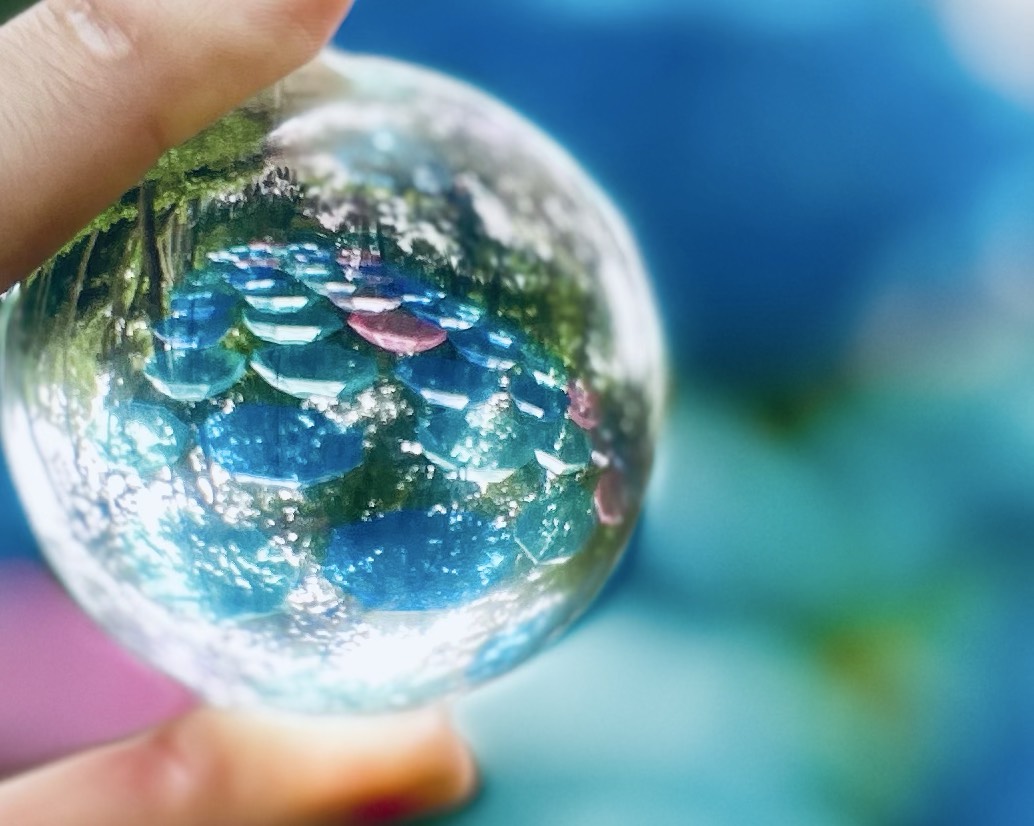 🍴 𝓚𝓪𝔃𝓲(かじ)