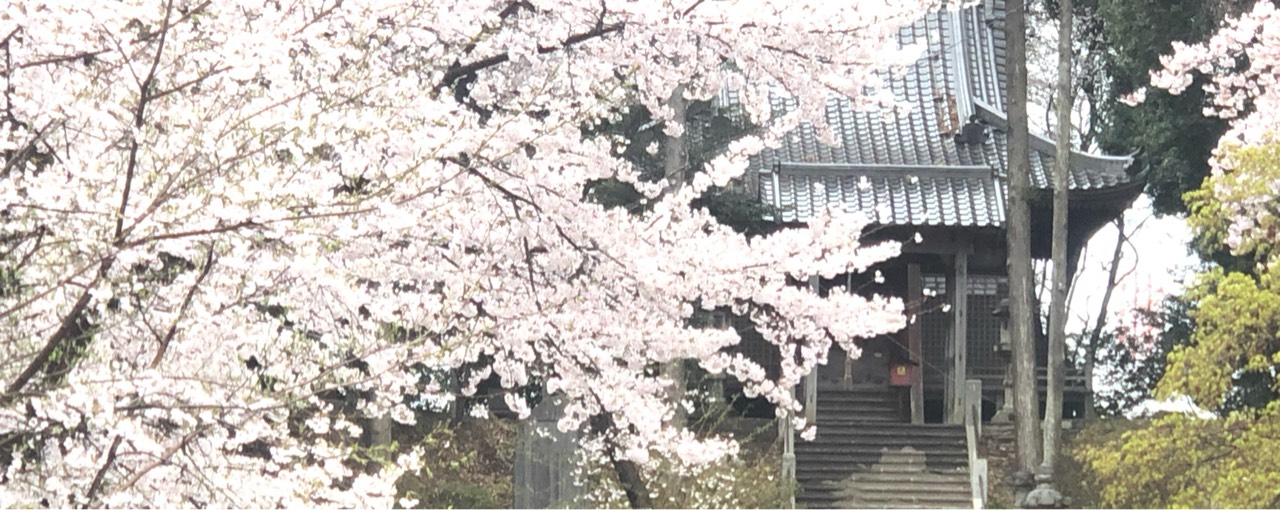 どなどな