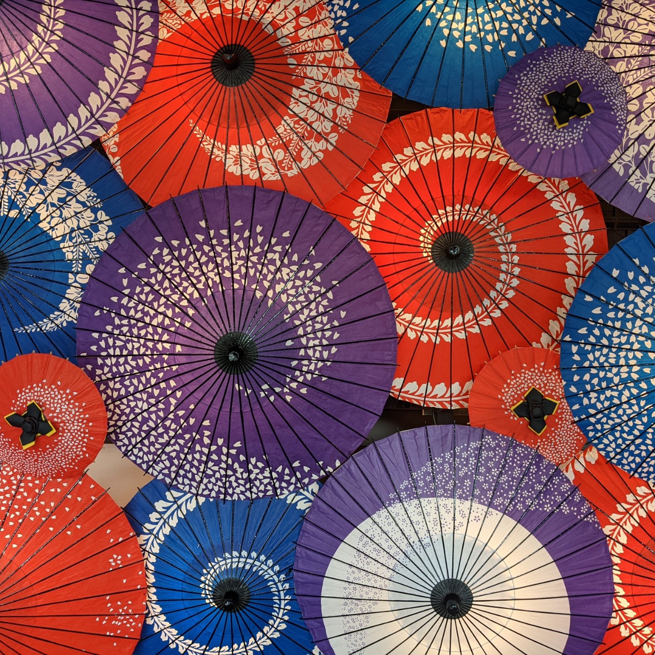 あの頃は、ゲンゴロウでした‥。