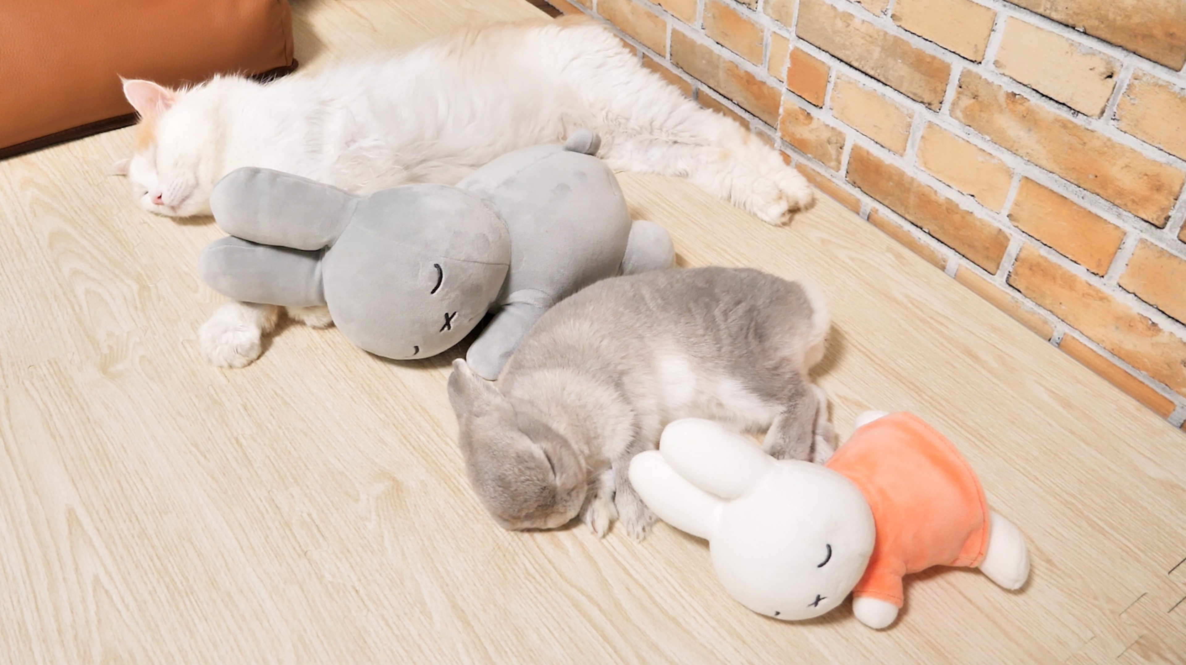 リコピン