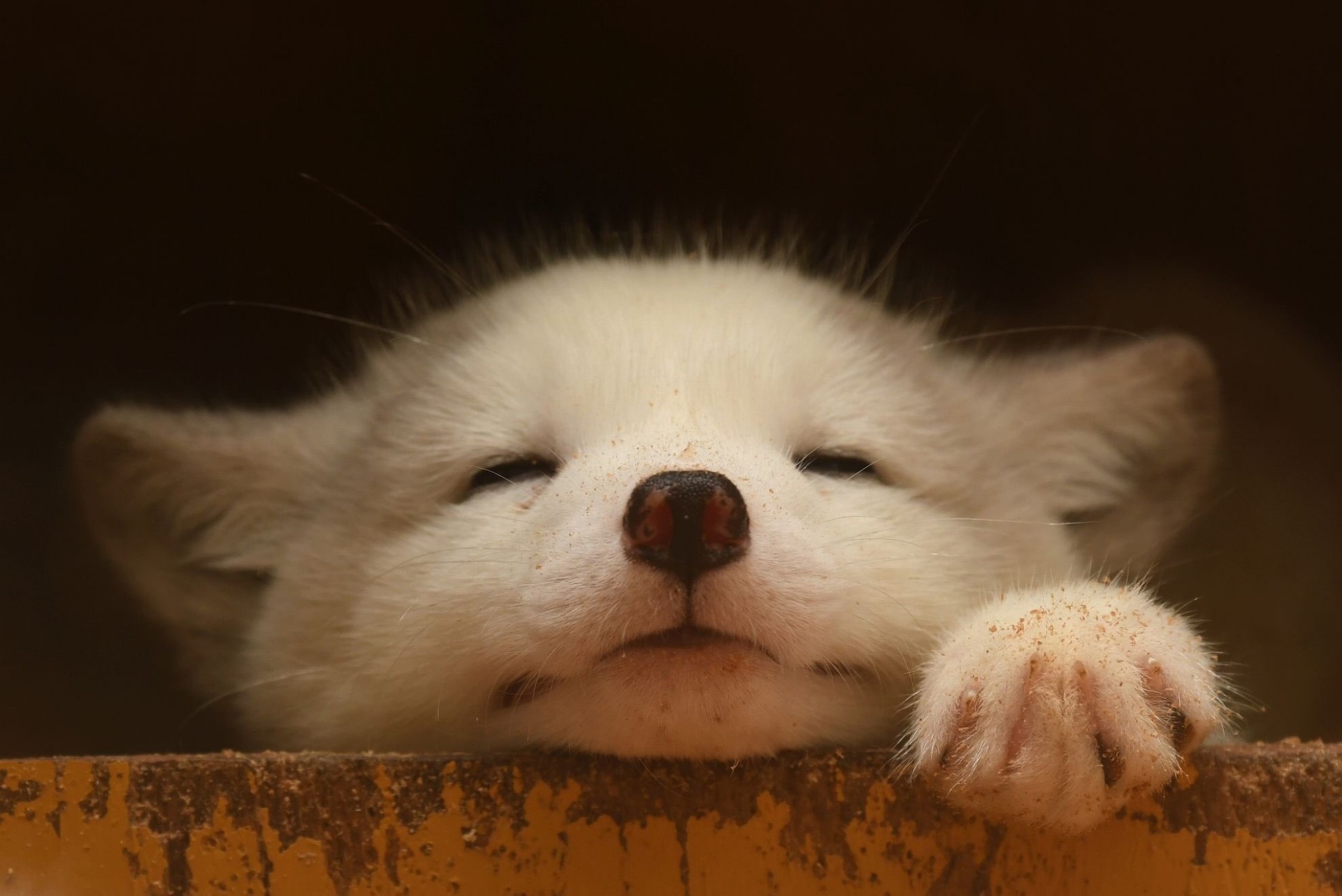 ちぃる ✄ ‎‎‎‎