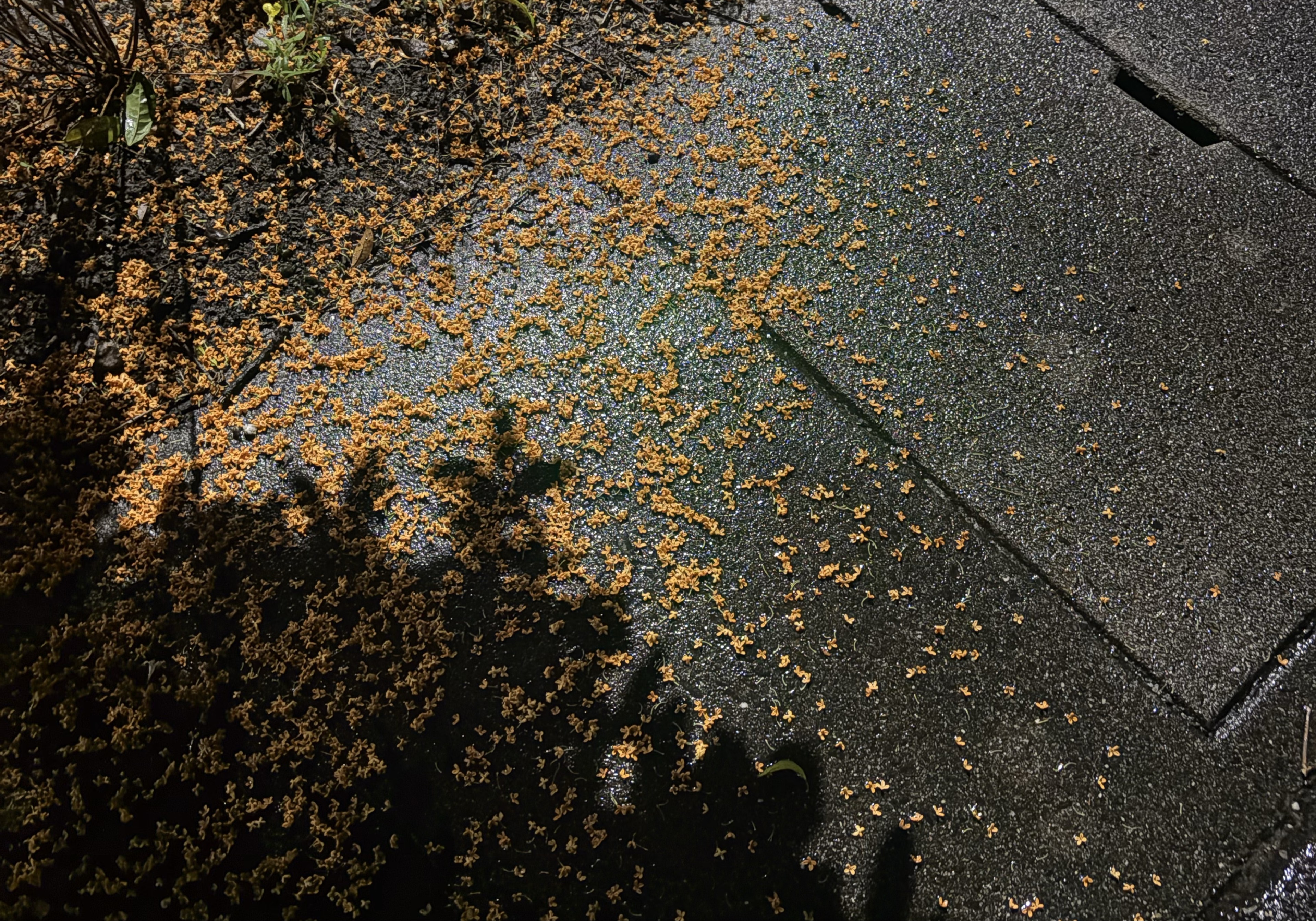  ︎︎