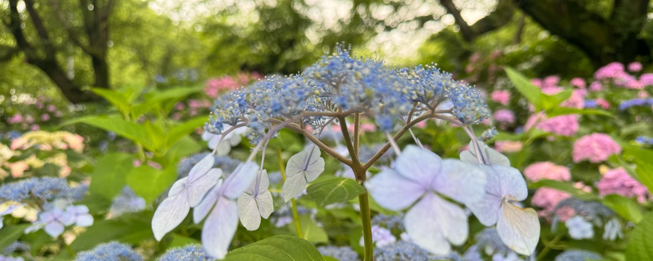 🎐𓈒 𓂂𓏸Rin