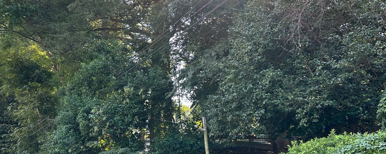 ユキτÖஐ☘︎︎