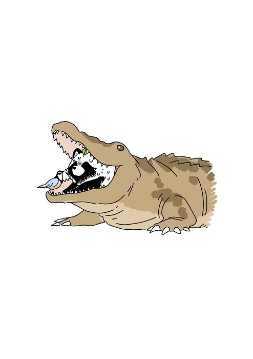 ほろ