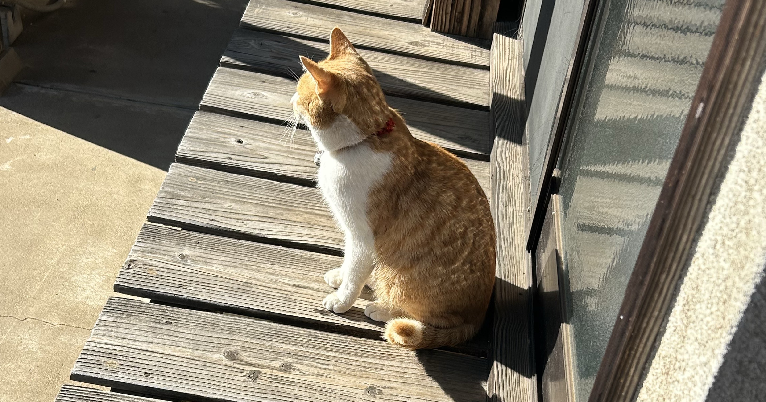 てとりしゃす