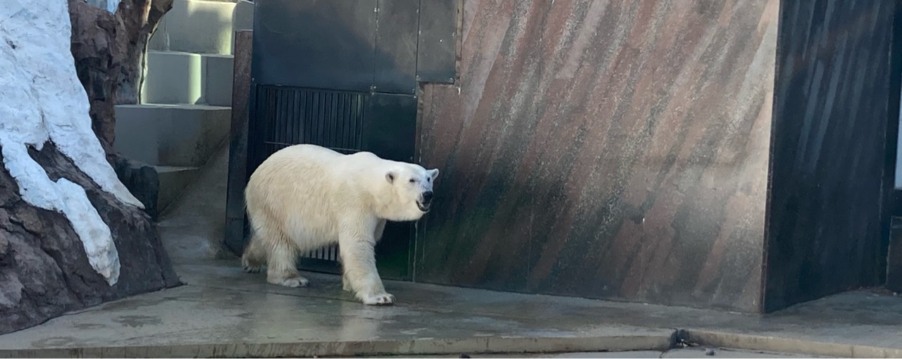ふくりん
