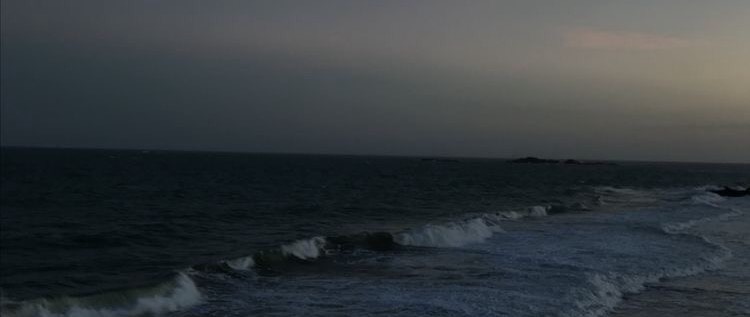 バ美肉プロテスタント