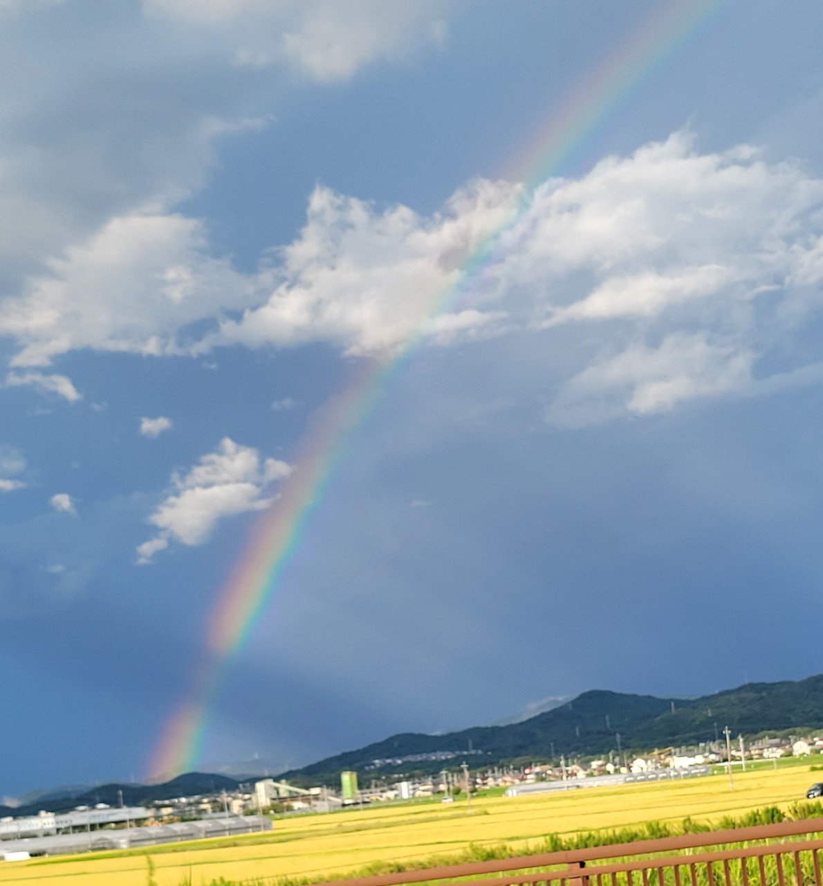 ◌̥すーちん🌻໋᳝݊ 空結組🌻໋᳝݊