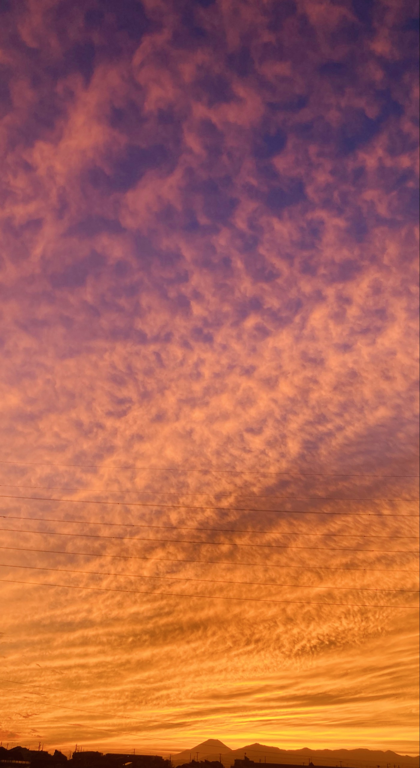 ᵒ*♡ᵃさとし.⋆𝜗𝜚🦽🌸