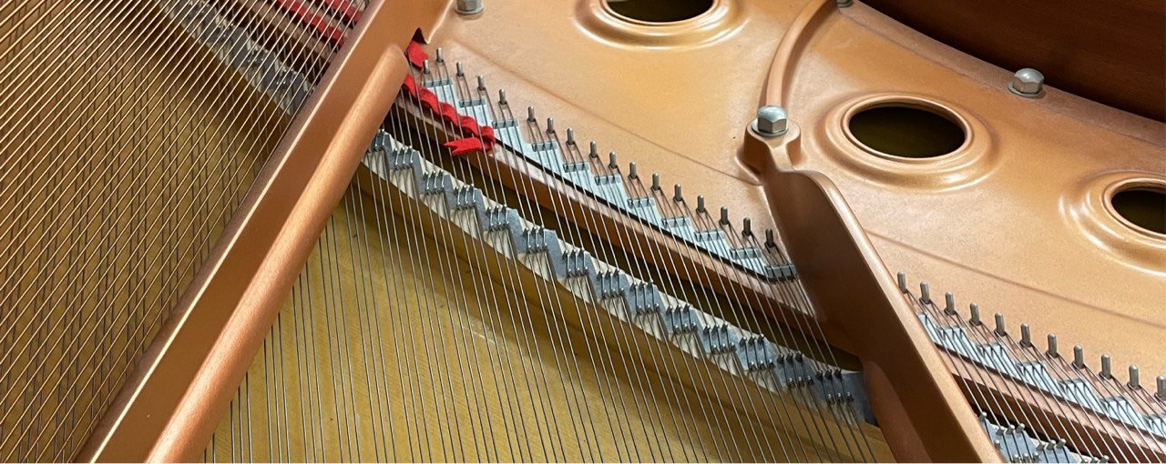 𝒩♬︎´-ノルモア