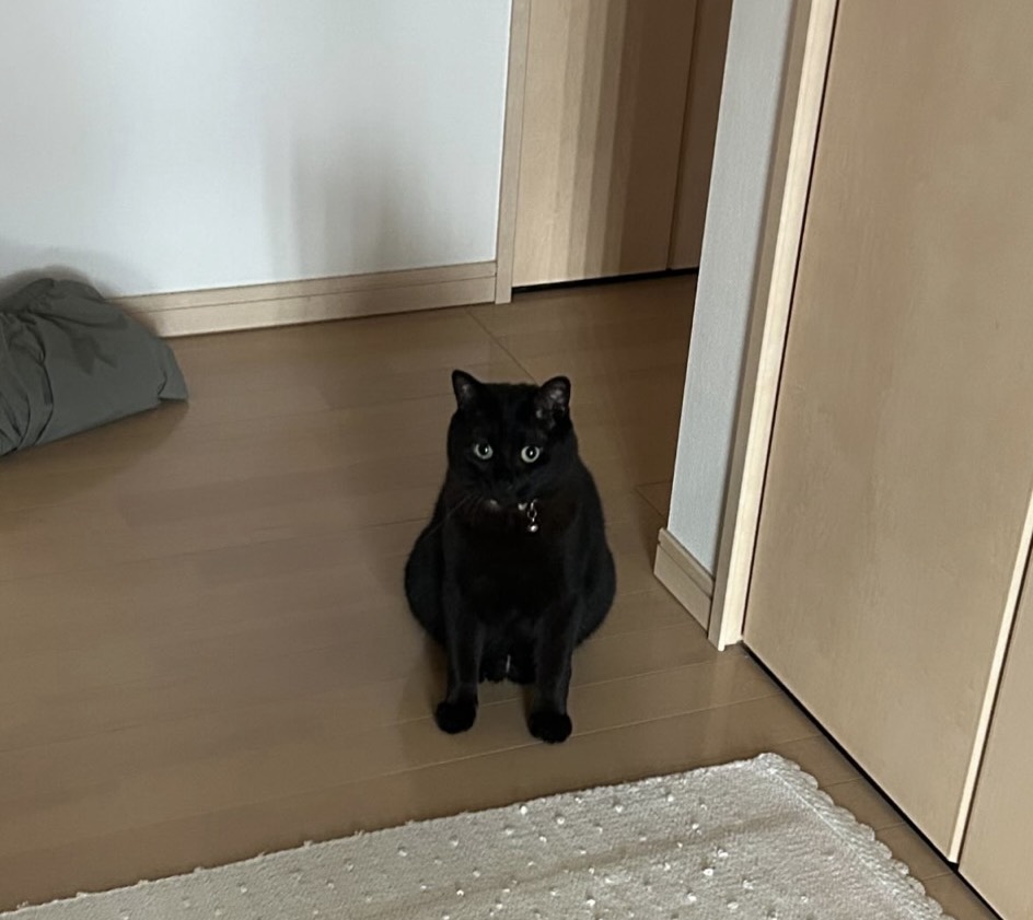 こはる