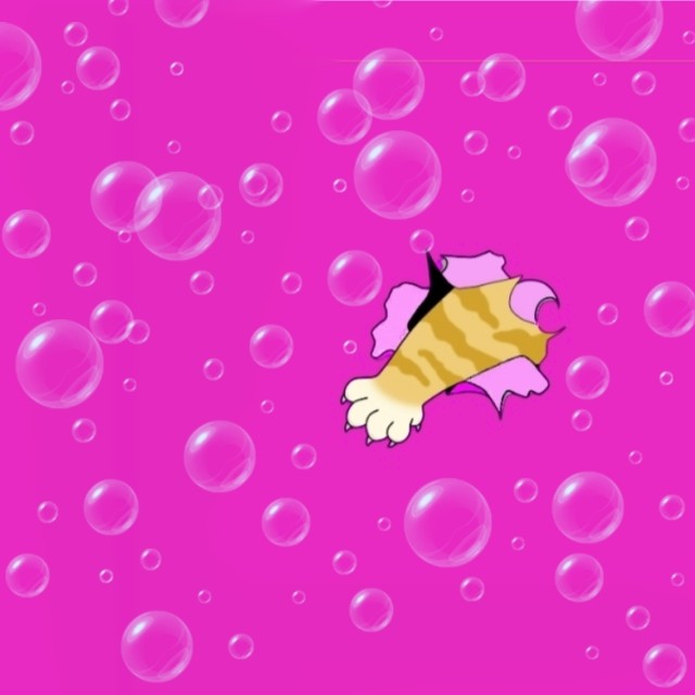 ╰ᘏᗢ.·*  ぁ ぉ 