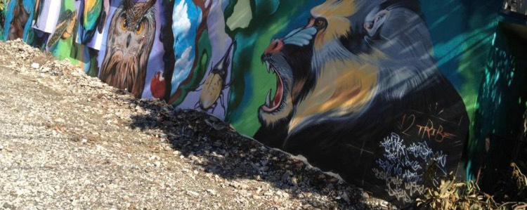 時代遅れのホタテ