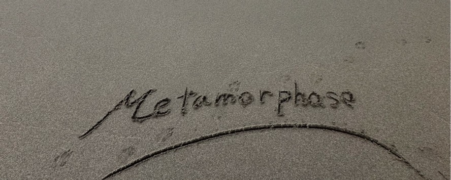 ੈ✩ゆー（メタモルフォーゼ）