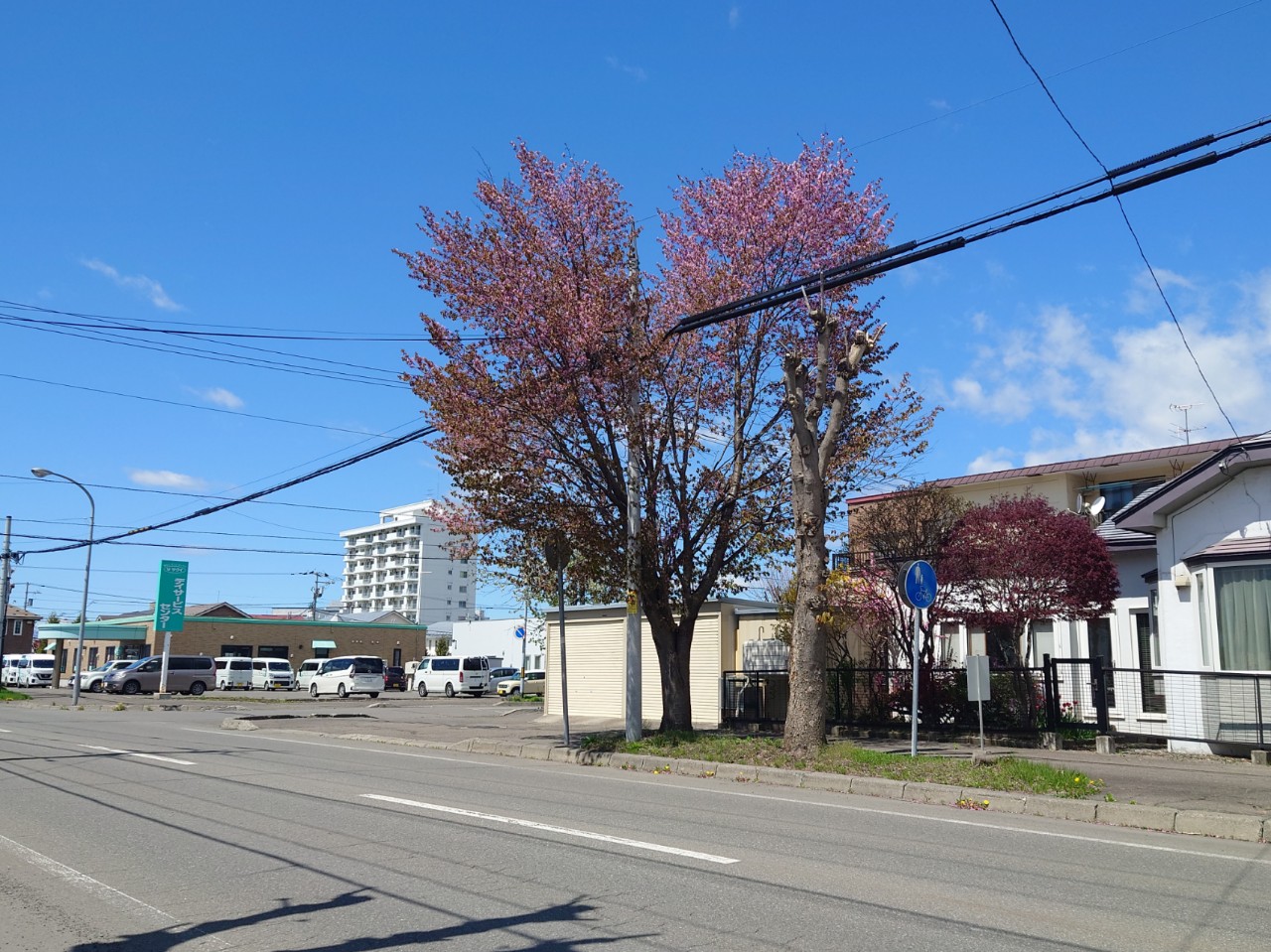 🐯月野長嶺ﾀｶｼ🥸