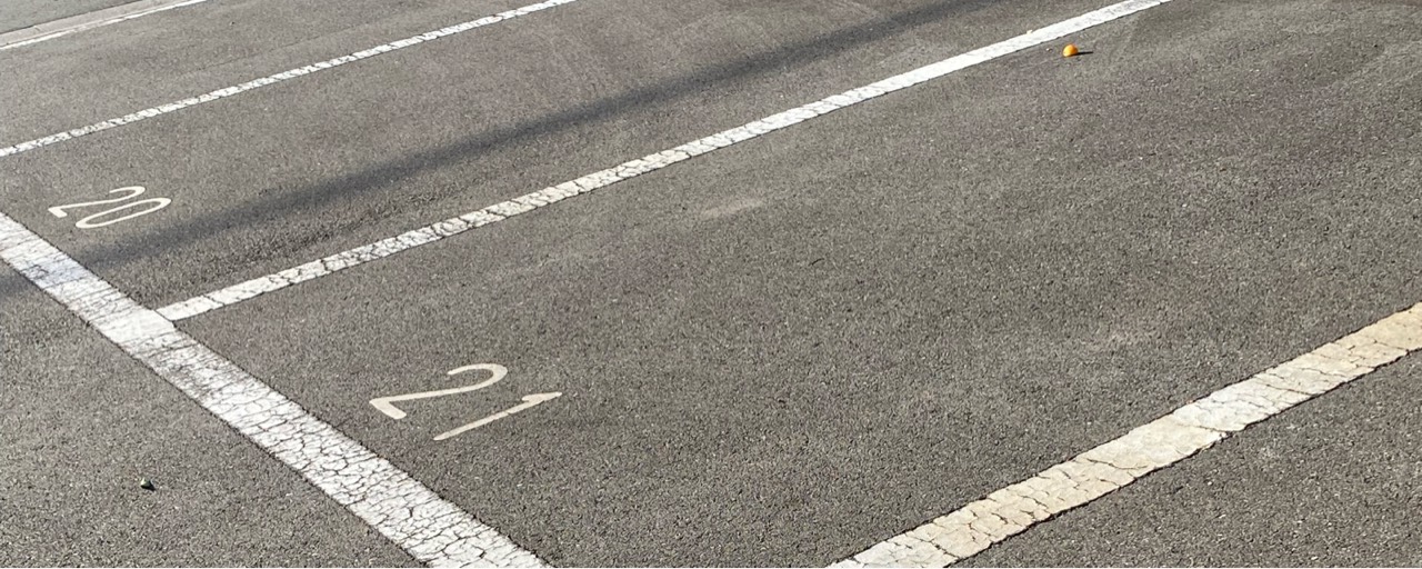 コーラルピンクのトイプードル