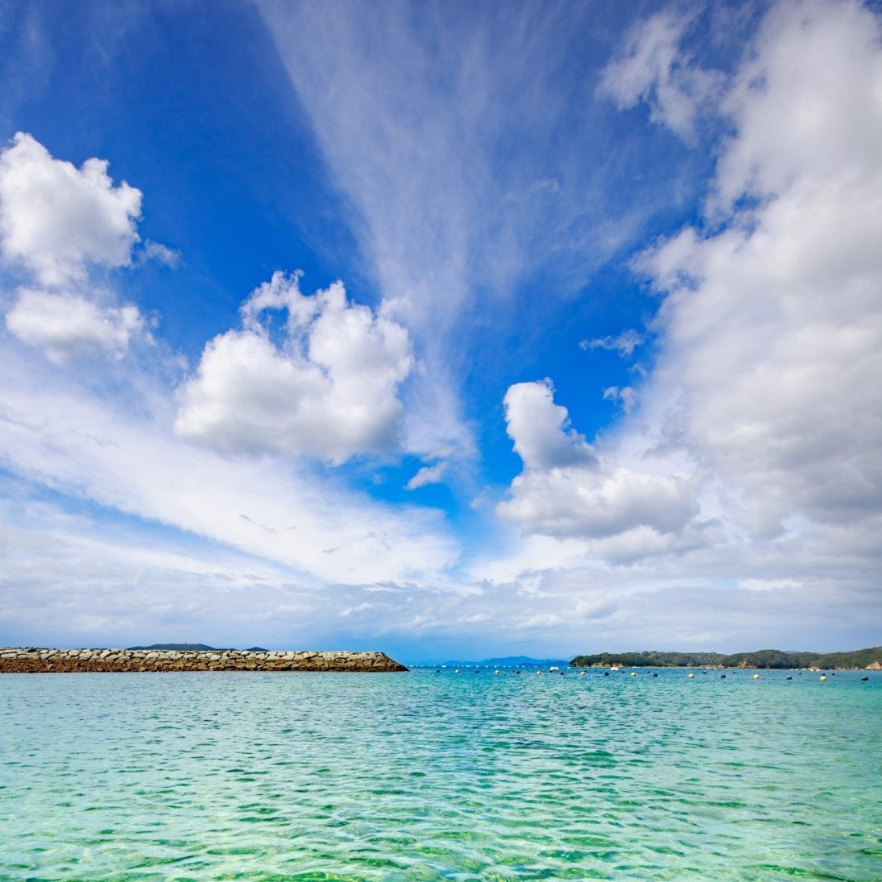 𝓩ø͓̽₁零一:ゼロイチ