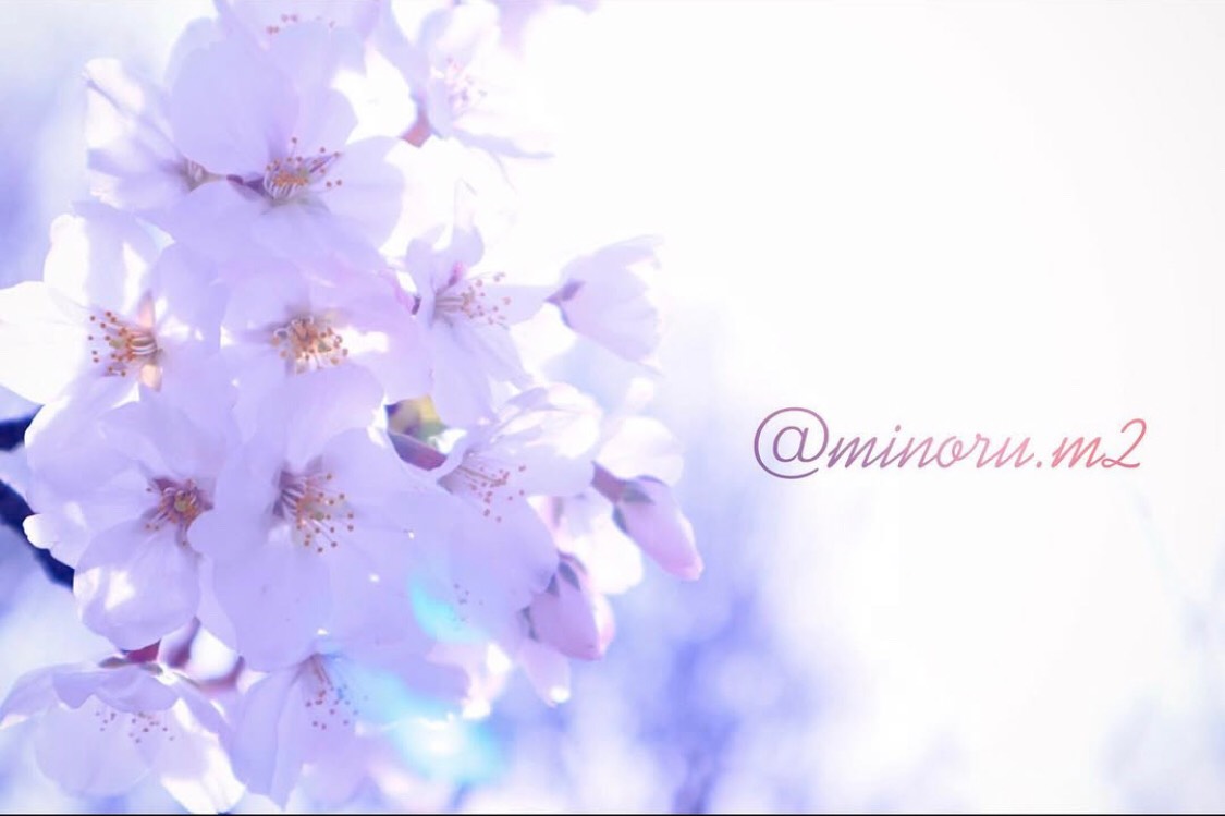 ☽･:*みのるん𖠚ᐝ☪︎*｡꙳