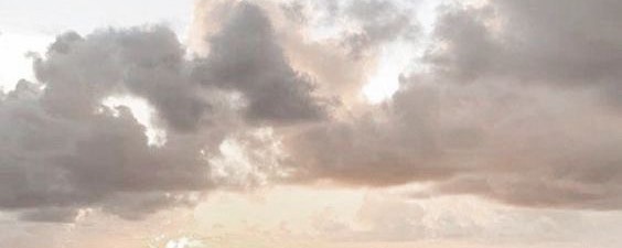 せな