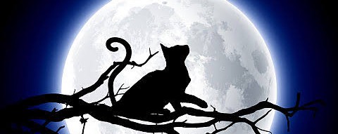 夜星アキ± #1111