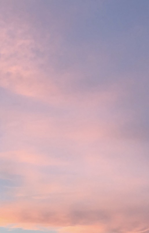 あるぐれ🥀🫖