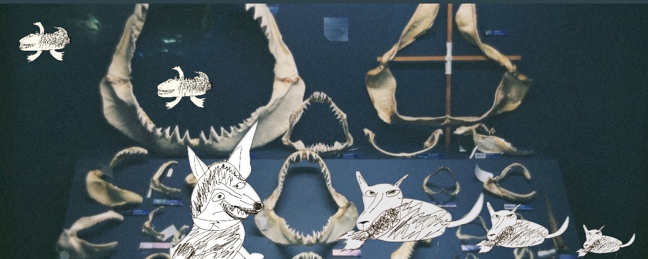 𝚔𝚘𝚜𝚊𝚖𝚎🦈⁺¹⁹