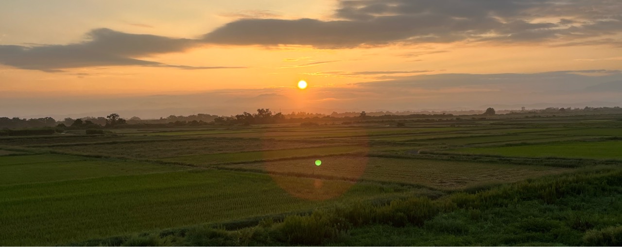 ( ･ω･)まめ太🍫
