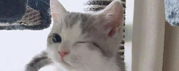ね❕
