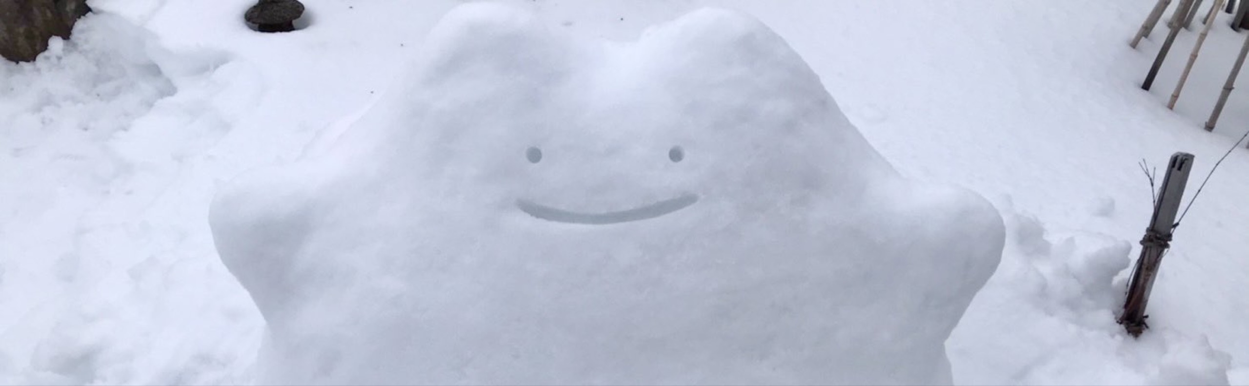 ゅき