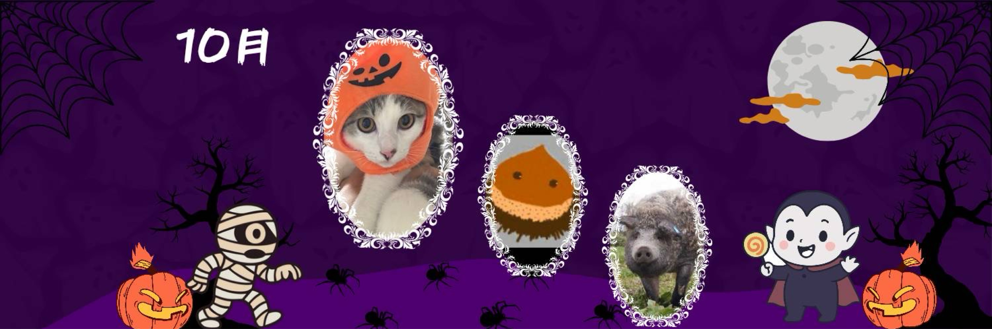 ð*.ðã®ãïŸïŸ@NonSp07