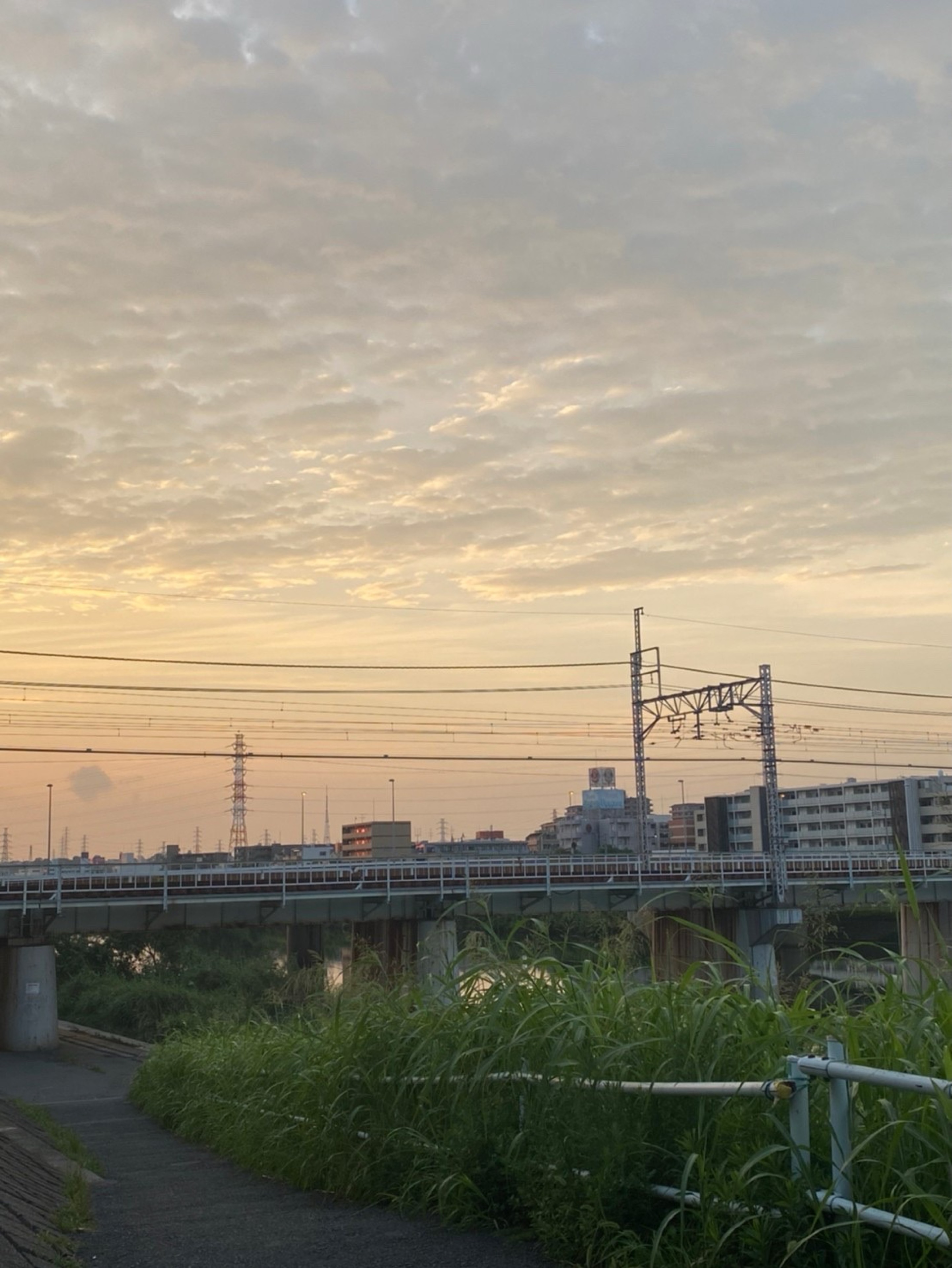 ぴぴ🦠🧪