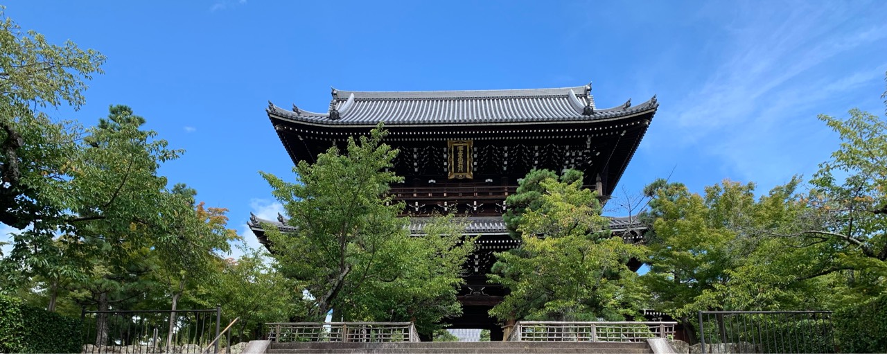 もりもり絶好調👍