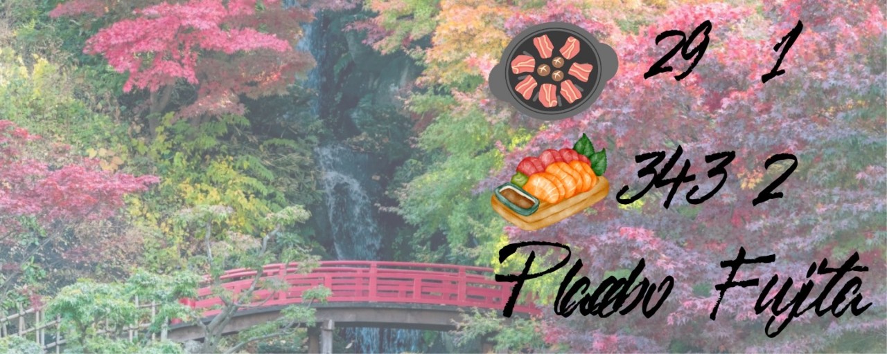 ㋫ﾟラシーボ藤田