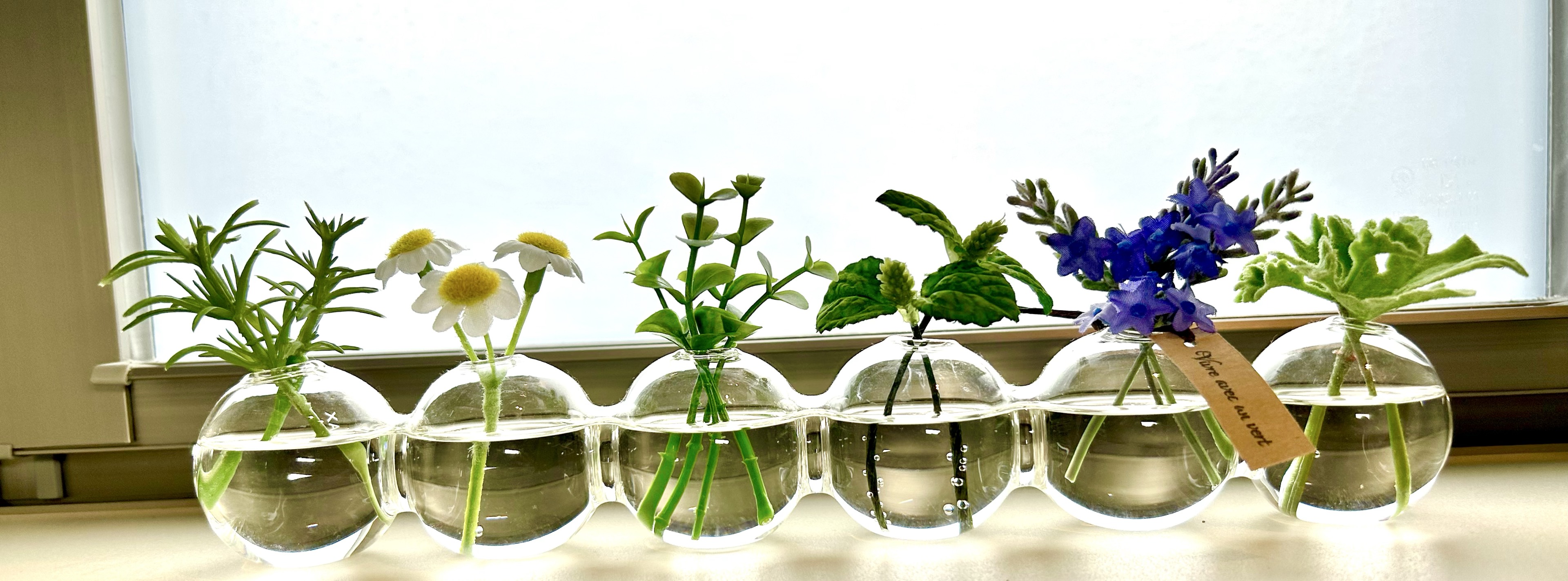 ꒰ঌ 𝒜𝓃𝒿𝓊 ໒꒱