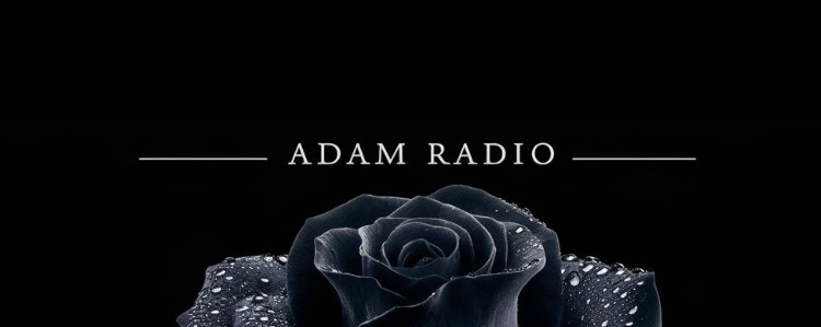 ~~🍸 Adam (アダム)🍸~~