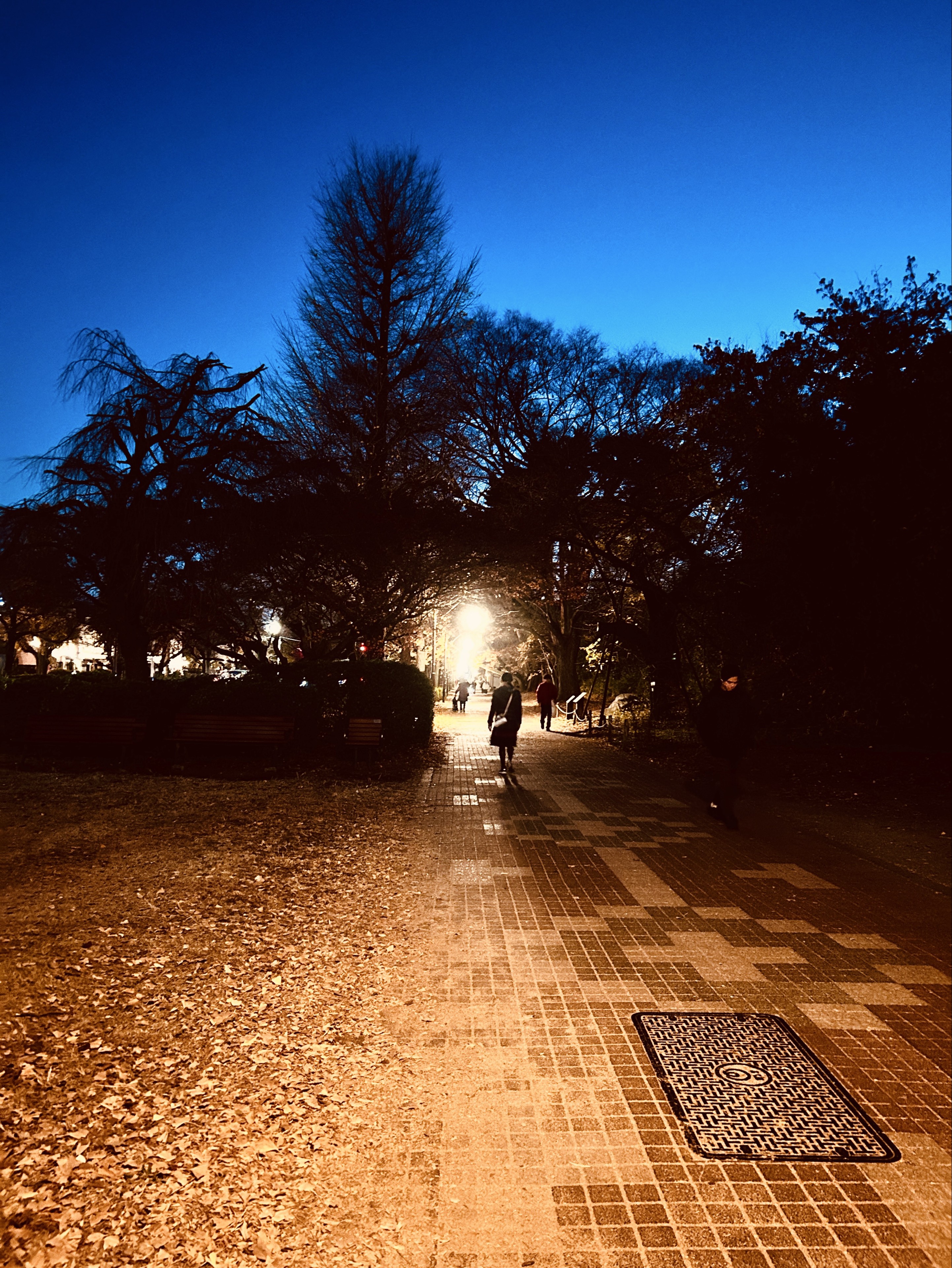 はるたに🍏📸