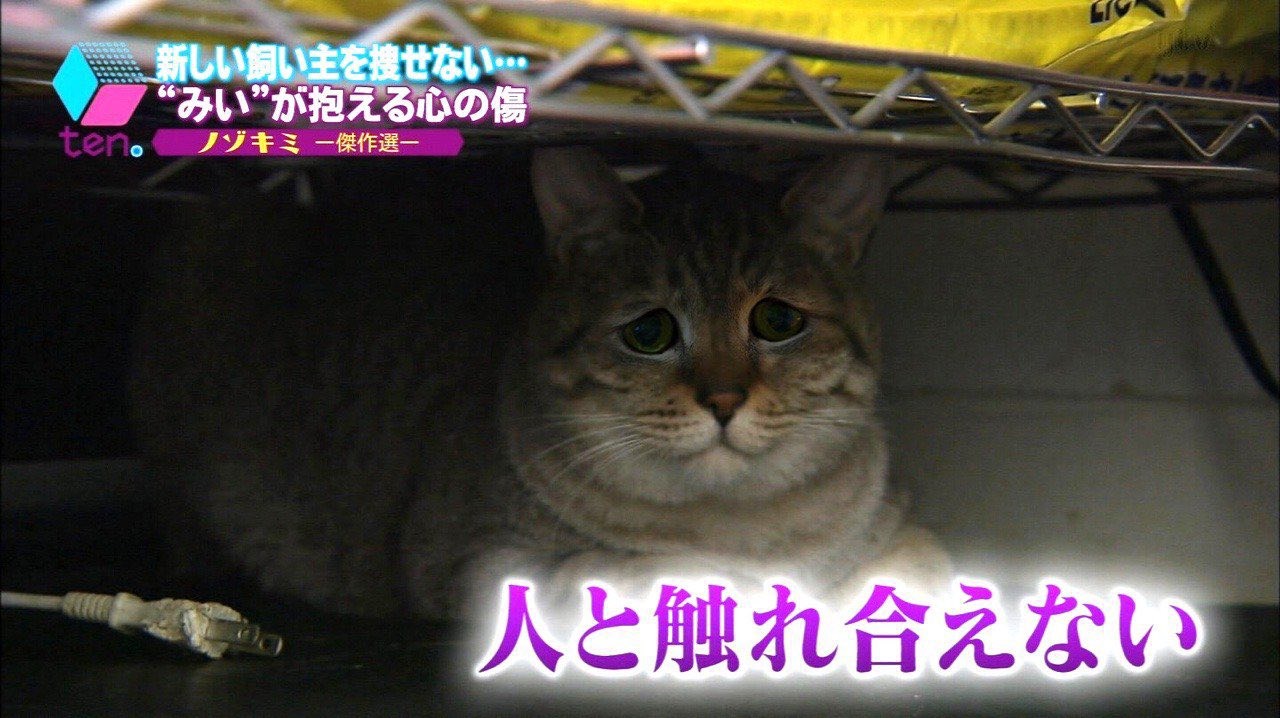 まつもと