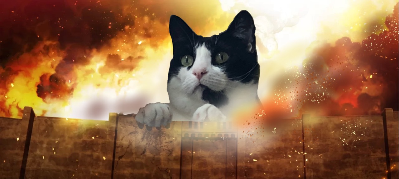 卍グレ一卜 †力ジキ† おマグ口卍