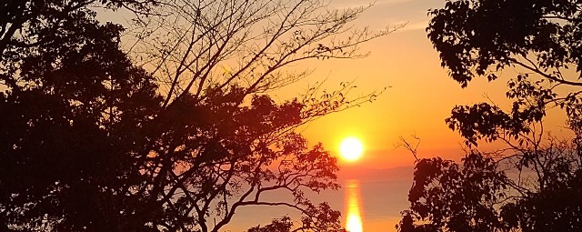 さ む（佐藤ともひさ4/12生のファン）