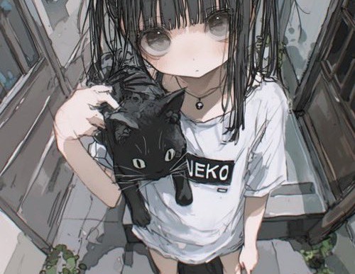 ねこのひみつ