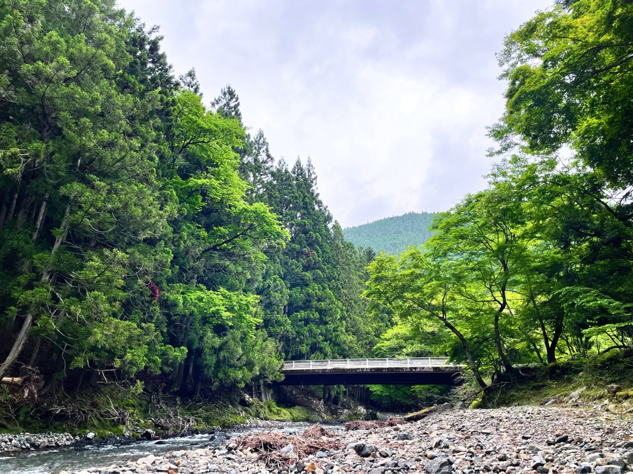 🍺さとこ。🍶
