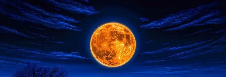 ẗ̤⚓︎ 空白の扉